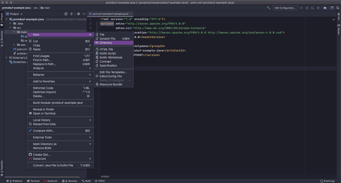 Creating protobuf files directory