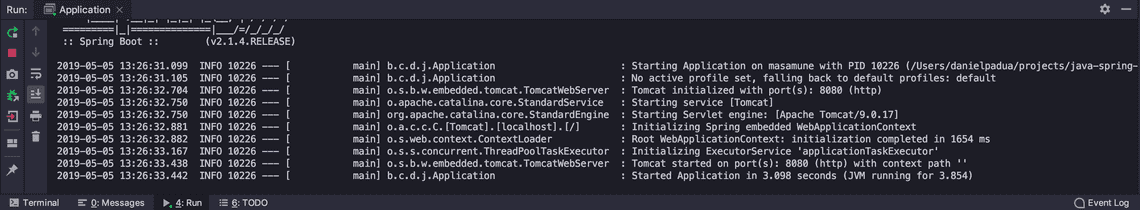 Spring initialization log